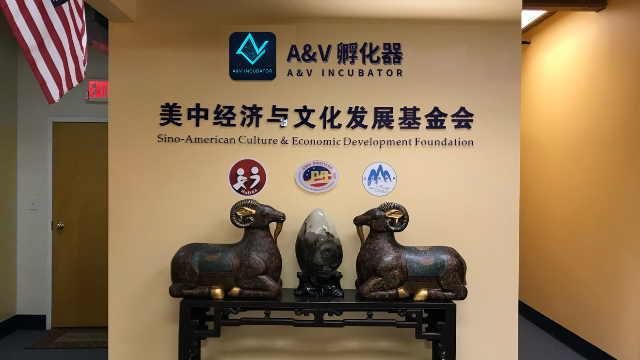 A&V孵化器波士顿办公室背景墙